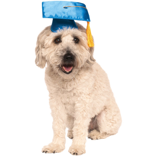 Graduation Pet Hat