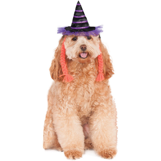 Purple Witch Pet Hat With Braids