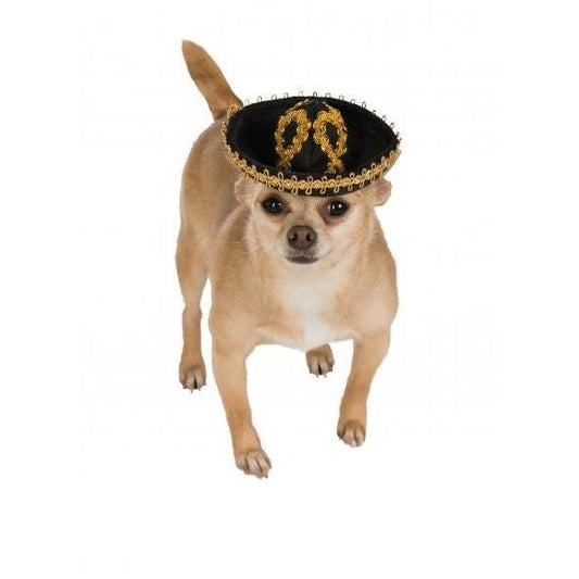 Sombrero Pet Hat